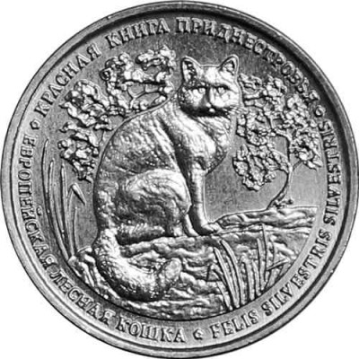 Европейская лесная кошка. Красная Книга. Монета 1 рубль 2020 года. Приднестровье  (UNC)