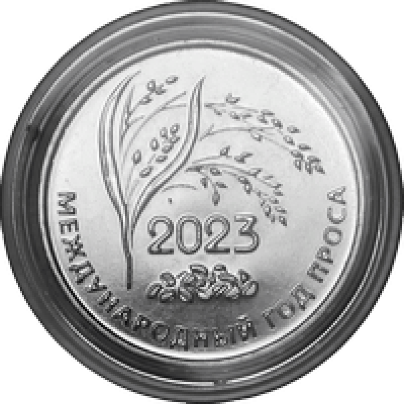 25 руб 2023. 25 Рублей монета 2023. 25 Рублей Приднестровье Международный год проса. Приднестровье 25 рублей 2023 Международный год проса. Новая монета 25 рублей 2023.