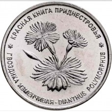 Гвоздика изменчивая. Монета 1 рубль 2025 год. Приднестровье. Из банковского мешка Гвоздика изменчивая. Монета 1 рубль 2025 год. Приднестровье. Из банковского мешка