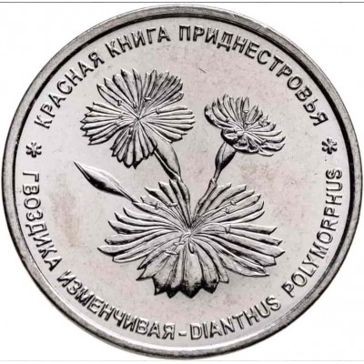 Гвоздика изменчивая. Монета 1 рубль 2025 год. Приднестровье. Из банковского мешка