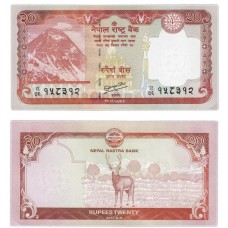 Банкнота 20 рупий 2012 года. Непал XF