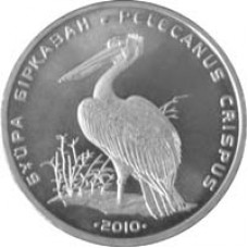 Кудрявый пеликан. Монета 50 тенге 2010 года. Казахстан