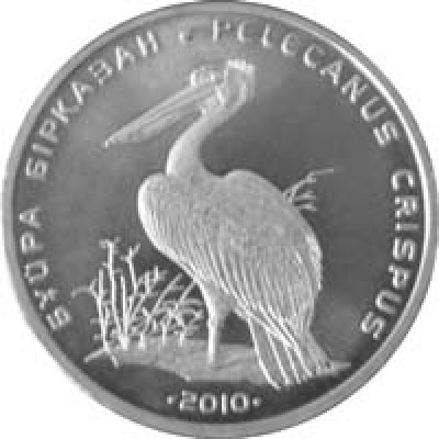 Кудрявый пеликан. Монета 50 тенге 2010 года. Казахстан