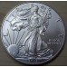 1 доллар США «Шагающая свобода» 1 унция серебра 2013 года. США
