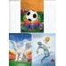 Набор почтовых открыток,  посвященных проведению в РФ Чемпионата МИРА по футболу 2018 года (11 штук)